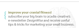 Improve your crabial fitmess! Subscribe our big brain to acadia creative's enewsletter DesignWise and receive useful tips and tricks for website design, grahic design, ecommerce, and marketing for your small business.